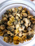 宁安堡菊花茶 浙江桐乡头采胎菊 茉莉玫瑰花茶 菊花茶60g 实拍图