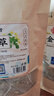 南同四海南京同仁堂金钱草茶包搭金钱草中药材原料广金钱草金钱片草100g 实拍图