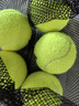 天龙（Teloon）网球训练球进阶初学专业比赛网球耐磨 801初学训练-散装5个 送便携网袋 实拍图