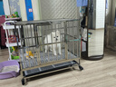 金百特【升级满焊加粗加厚】圆管笼不锈钢狗笼子大型犬宠物狗别墅金毛 加粗加厚不锈钢 小型犬78*52*70（无喂食门） 实拍图