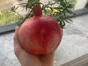 南步四川攀枝花黑籽酸石榴【现摘】纯酸石榴突尼斯软籽酸甜可泡酒水果 5斤 特大果【单果约400克】 实拍图