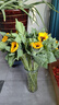 【向日葵】生日礼物鲜切花云南基地直发新鲜太阳花鲜花毕业花束 向日葵10枝 中大花 中大花向日葵 实拍图