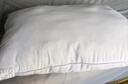 雅鹿·自由自在枕头枕芯家用一对装 酒店枕护颈枕睡眠颈椎病深度睡觉专用软高枕 实拍图