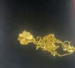 中国黄金（CHINA GOLD）黄金四叶草项链女款足金幸运草吊坠锁骨情人节生日礼物送女友老婆 四叶草吊坠【赠银镀金链】约0.5g 实拍图