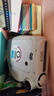 富士（FUJIFILM）拍立得相机相纸迷你胶片mini SE/13/41/99/liplay/evo/cinema/link3/7+/7s/11/12/25/90通用胶卷 白边(20张)+相册+边框贴 实拍图