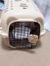 哈巴斯（Habas）便携外出折叠宠物猫国航航空箱猫咪专用车载猫笼子猫箱宠物托运箱 【25斤内宠物】烟灰白-送隔板 重量2.15kg 【升级加厚 耐磨抗压】 实拍图