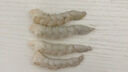 弹指鲜生 活剥青虾仁冷冻大号翡翠白虾仁虾类手工去虾线 无保水】特大无冰4袋 800g(净重) 实拍图