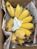 正宗广西小米蕉自然熟鹏茂新鲜香蕉青蕉发货产地直发新鲜水果酸甜 米蕉1斤 实拍图