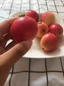 辛鲜美东北沙果海棠果 新鲜孕妇水果小苹果糖心大沙果特产水果 5斤装 实拍图