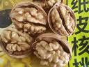 沐小七果蔬 大凉山新鲜湿核桃【多地次日达】去青皮嫩纸皮核桃水果礼盒送礼 SS+级老树巨无霸果王【更大更香甜】 去青皮9斤装【送夹子】蕞划算丨净8斤 实拍图