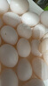 均鲜大个种鸽蛋礼盒装新鲜鸽子蛋杂粮喂养养殖信鸽蛋白鸽蛋孕妇宝宝 30枚 750g 30枚大个种鸽蛋 实拍图