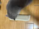 阿柴与猫猫薄荷抱枕磨牙耐咬洁牙猫咪玩具糖果自嗨解闷黄麻猫抓板大号 实拍图