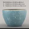 陶瓷花盆家用北欧风格特大号大口径室内外发财树绿萝盆栽特价清仓 苹果型蓝彩飞丝 大号【送塑料托盘网漏】 实拍图