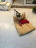 涵瑶伊笑狗垫子可拆洗秋冬季加厚泰迪宠物窝中大型犬金毛狗垫子狗窝保暖垫 100cm*60cm 米黄色羊羔绒狗窝 实拍图