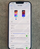Apple苹果iPhone17/16/15/14/13/12pro/max系列 二手手机内存以质检报告为准 苹果 iPhone 13 Pro Max 实拍图
