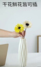 北欧塑料花瓶家居插花假花客厅现代创意简约小干花白色装饰品摆件 E款奶白色 实拍图