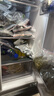 新飞（Frestec）418升净味超薄对开四开多门风冷无霜电冰箱变频一级能效十字国家补贴20% BCD-418WK8CT 实拍图
