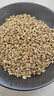 仟农仟滋浮小麦500克 小麦子小麦仁小麦米可泡水煮水 实拍图
