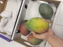 京地达四川攀枝花凯特芒果礼盒 净重8.5斤单果700g+新鲜芒果源头直发 实拍图