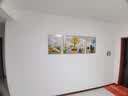 诗六艺家饰客厅装饰画北欧现代简约沙发背景墙挂画三联画大气轻奢壁画晶瓷画 富贵有余（铝合金外框） 晶瓷画左右40*60+中间80*60亮面 实拍图