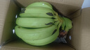 精品云南香蕉高山香蕉现摘新鲜水果甜生青香蕉banana自然熟绿皮 精品高山蕉 5斤 实拍图