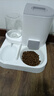 KimPets猫碗狗碗猫食盆猫咪猫粮自动喂食器饮水一体猫盆陶瓷宠物喝水双碗 【特价冲量】二合一喂食喂水灰色 实拍图