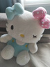 Hello Kitty三丽鸥毛绒玩具布偶猫咪玩偶布娃娃抱枕生日礼物女生 凯蒂猫公仔 实拍图