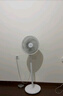 美的（Midea）家用空气循环扇电风扇落地式节能柔风小风扇/大风力强风台式卧室轻音台扇/香薰摇头落地扇 GAH20AC 实拍图