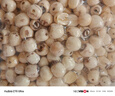 聚和泰 湘潭去芯磨皮莲子250g通芯湘莲子白莲子搭配芡实茯苓山药中药材 实拍图