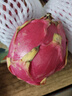 海南红心火龙果金都一号装新鲜采摘现摘现发 带箱2.5斤(单果400g+) 实拍图