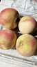  龙泉驿水蜜桃4-5粒750g(单果150g起) 实拍图