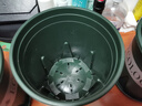 九千谷花盆加仑盆升级款塑料花盆家用园艺种植盆带托盘16*16cm3个装5068 实拍图