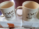 原创ins奶茶小狗杯子可爱陶瓷杯ins风礼盒装少女情侣马克杯水杯 咖啡小狗马克杯【单杯】 2个 350ml 实拍图