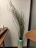 临雅水培植物龙柳鲜枝切花水养侘寂风绿植南天竹雪柳干枝室内吊钟盆栽 精选龙柳1米高10枝+2枝 实拍图