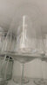 鸥欣进口红酒杯葡萄酒杯家用高脚杯勃艮第玻璃酒具620ML6支 实拍图