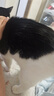 派迪诺（PAIDINUO）宠物猫咪营养排毛化毛套装猫用维生素片200片+猫草片300片 实拍图