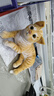 蓝诗诺小猫咪毛绒玩具仿真宠物玩偶动物模型儿童猫偶猫咪公仔送儿童礼物 橘猫【侧卧款】【长29厘米】 均码 实拍图