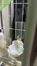 波奇多 悬挂宠物水壶500ml猫咪饮水机挂式自动狗狗喝水器水碗猫笼子喂水 实拍图