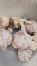 京喜自营大蒜头紫白皮大蒜京东买菜生鲜调料即食凉拌大蒜 5头 100g 单果3.5-5cm 实拍图