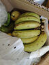 谷真云南高山香蕉 10斤新鲜薄皮现砍现发整箱批发正宗当季大香蕉 大香蕉 4.5kg 特级蕉 实拍图