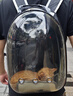 贝初众次日达猫包太空舱外出便携宠物双肩背包车载大号外出航空箱手提箱 防应激茶色透明款【有侧开门】 【适用18斤内猫咪】 实拍图