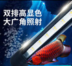 森森（SUNSUN）鱼缸灯led灯照明灯变色LED水族箱造景灯龙鱼灯潜水灯 【9W光之白】45cm长 适合60-70缸 实拍图