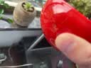 开时果 小叶赤楠盆景中式禅意植物 金丝楠木盆栽办公室内桌面老桩绿植 【年宵款】福字红瓷盆+苔藓+底座 实拍图