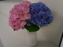 云南鲜花批发品质玫瑰百合水养鲜切花送女友水养鲜花源头直发 绣球粉色-1支（深粉浅粉随机发货） 【任选2件—不收运費】 实拍图