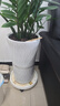 大号特大号高筒陶瓷花盆发财树天堂鸟大口径30以上绿植大花盆 金腰线高腰款(大号) 实拍图