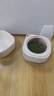 草木方花草茶 小叶苦丁茶250g 特级2025新茶嫩芽四川峨眉山头采明前茶叶 实拍图