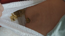名典泰迪拉拉裤XL码52片【12-15kg】婴儿尿不湿超薄干爽尿裤男女宝宝通用 实拍图