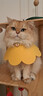 欢宠网伊丽莎白圈猫狗宠物猫咪狗狗绝育项圈软头套脖套防舔防咬脖圈耻辱 实拍图