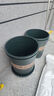 墨斗鱼花盆加仑盆加厚高款3加仑*2多肉绿萝月季盆栽树脂塑料简约带托盘 实拍图