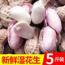 囧仙子现挖现发湿花生2026新鲜生花生农家种植带壳落花生饱满1-5斤 5斤 现挖鲜花生 实拍图